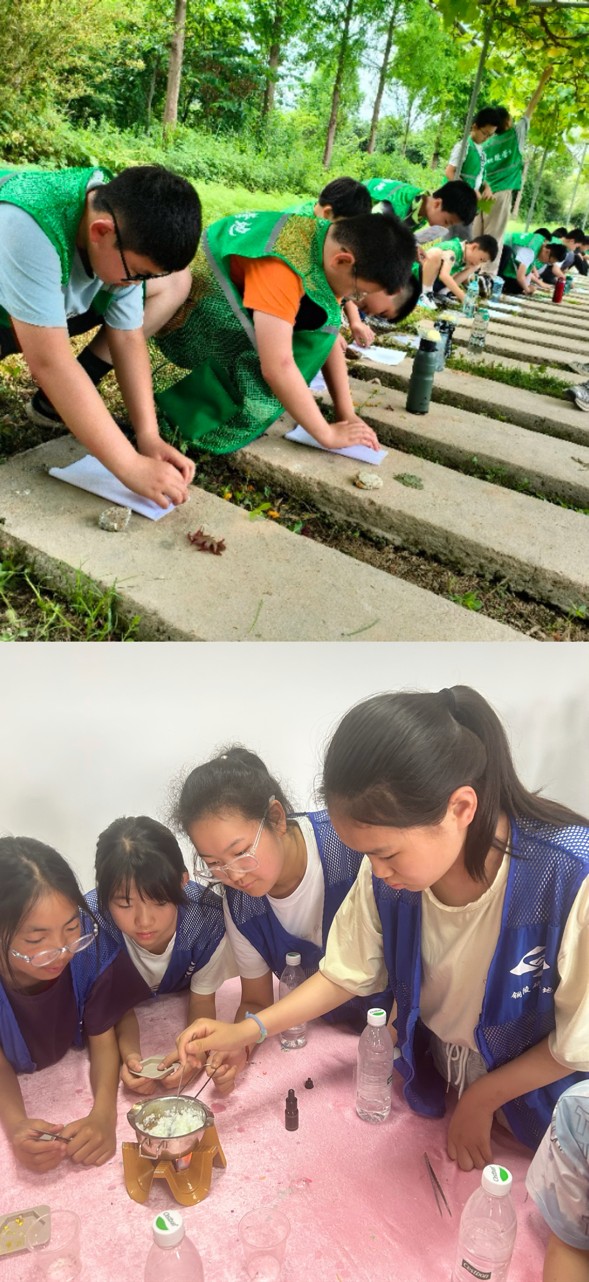 图片12.png